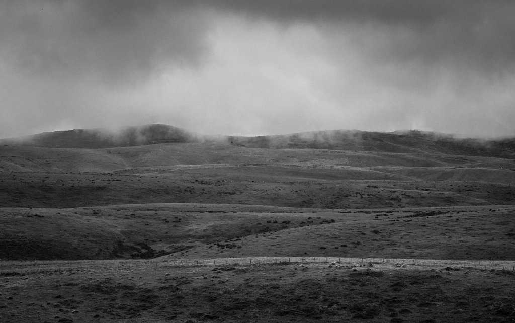 Feilds west of North Beach, Point Reyes.