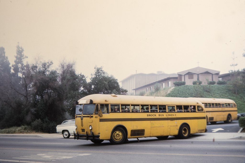 School Busses.